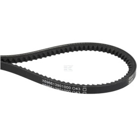 Courroie AGCO X696613901000