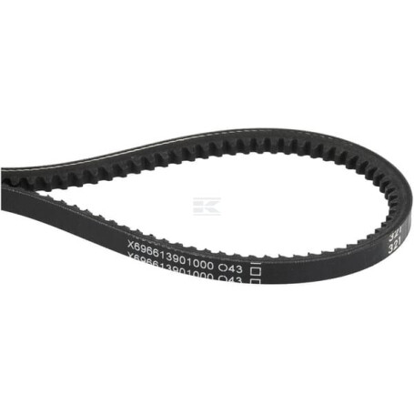 Courroie AGCO X696613901000