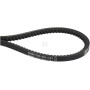 Courroie AGCO X696613901000