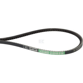 Courroie OPTIBELT X696616201000AB1