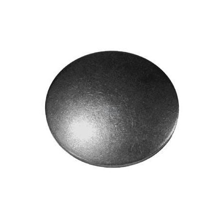Disque AGCO X563013000000
