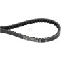 Courroie AGCO X696623300000
