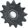 Pignon KUHN Z4409880