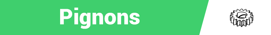PIGNONI