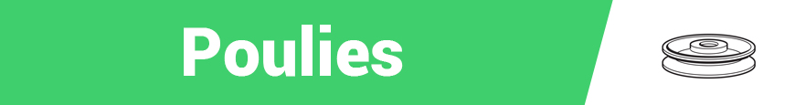 PULEGGE
