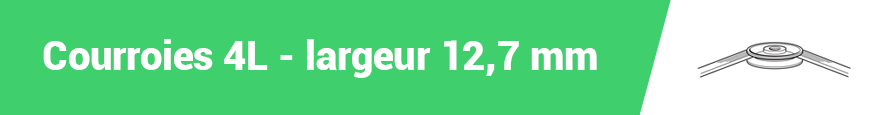 CINGHIE 4L