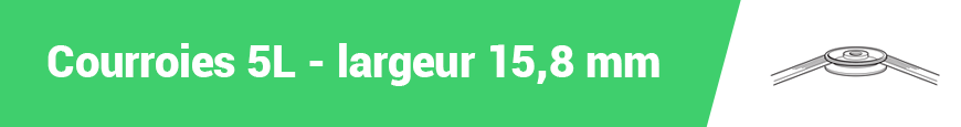 CINGHIE 5L
