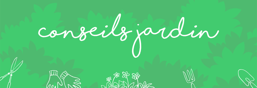 Conseils jardin